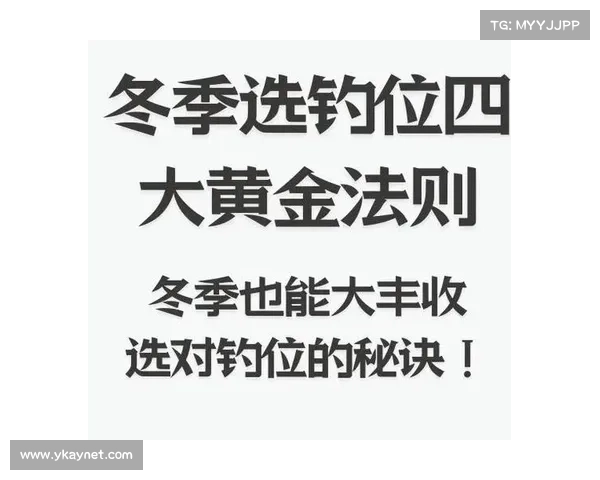金蟾降世，鱼海争夺：致命攻略，满载而归